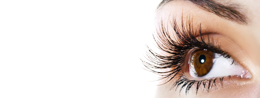 eye services lashes brows matthew steele